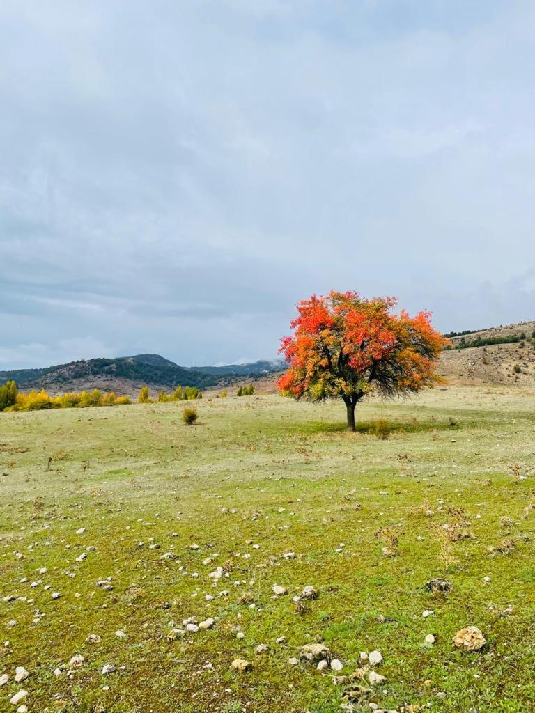 Las Colmenillas 1 トラガセテ エクステリア 写真